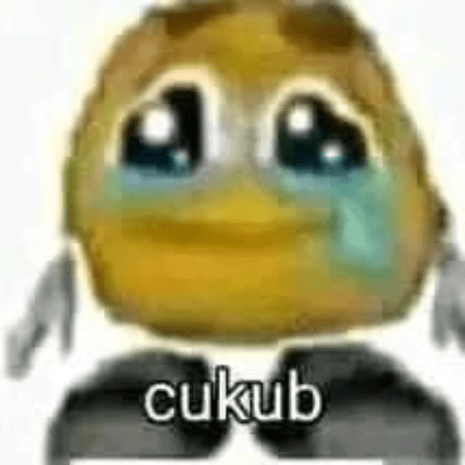 Random meme 23