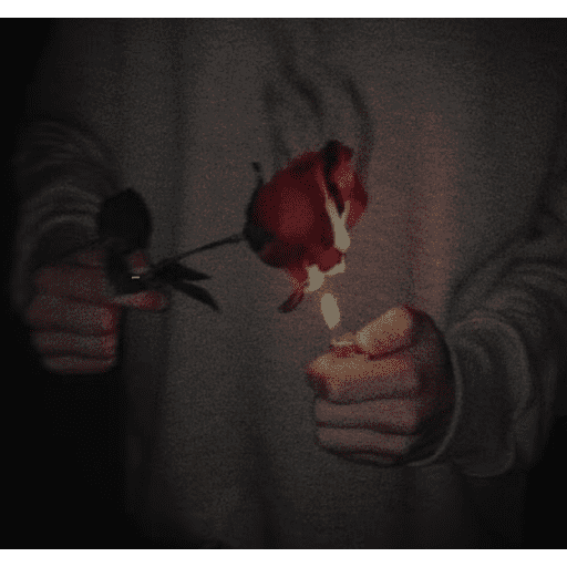LoveU❤️‍🔥🌹 4