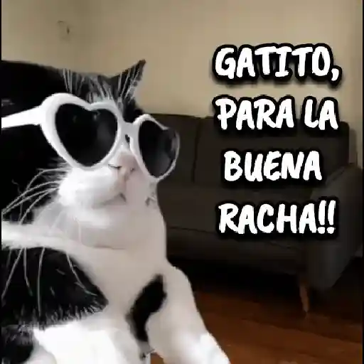 ᕕ( ᐛ )ᕗLA RACHA/RACHA/TIKTOK🔥