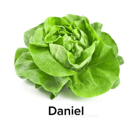 Viruela  6