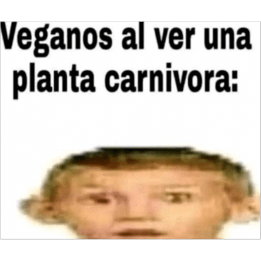 Viruela  3