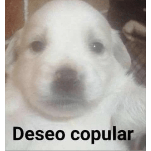 Viruela  9