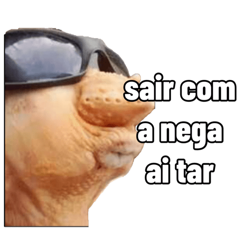 Sctgfc 7
