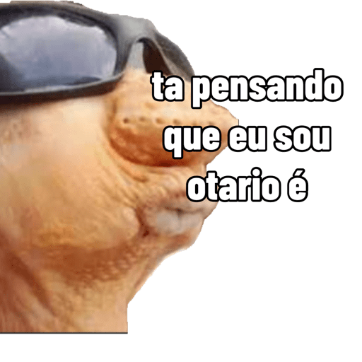Sctgfc 5