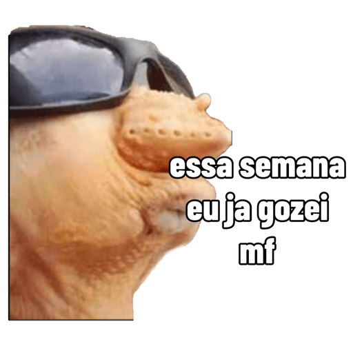 Sctgfc 4