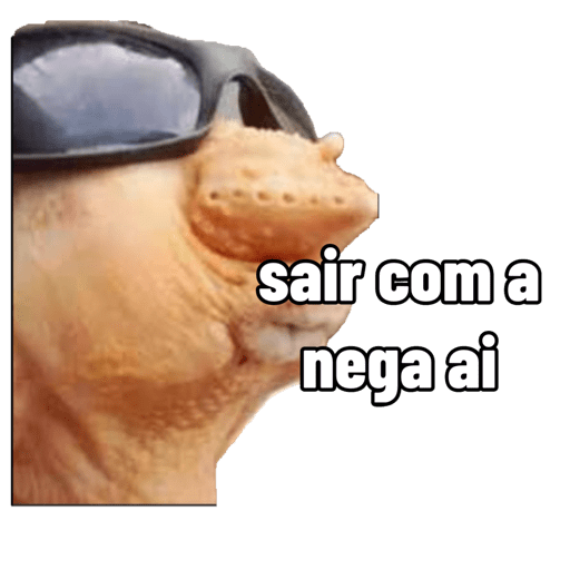 Sctgfc 6