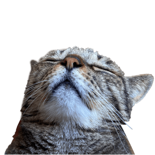 Péqui 3