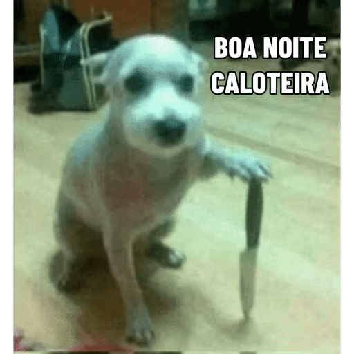 Péqui 19