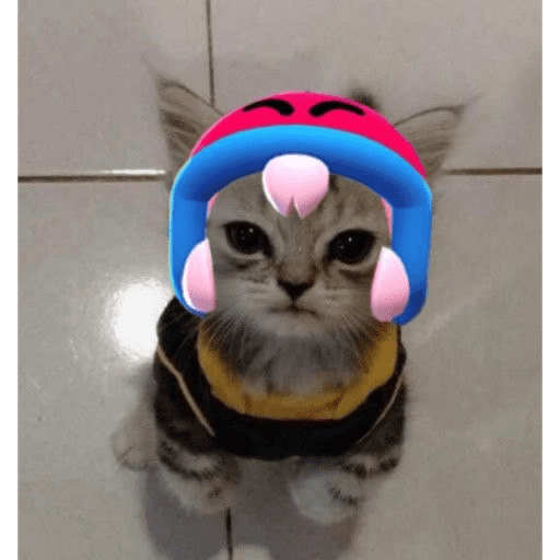 Bonnie — BS 11