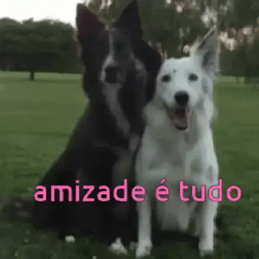 Pacotinho variado  15