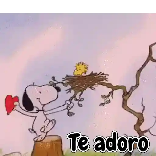 Pacotinho variado  14