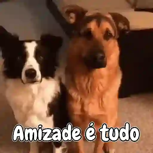 Pacotinho variado  16