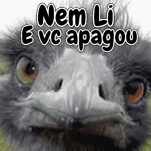 Pacotinho variado  4
