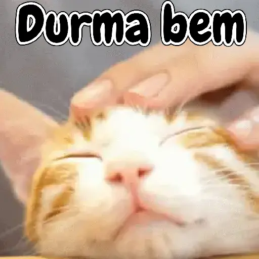 Pacotinho variado  25