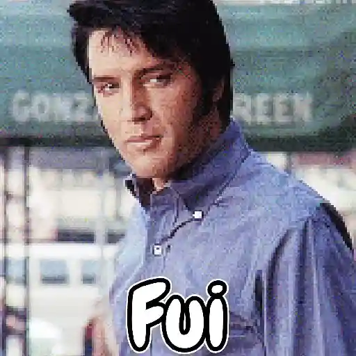 Elvis Presley Reações 28