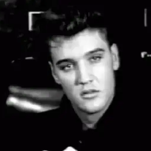 Elvis Presley Reações 17