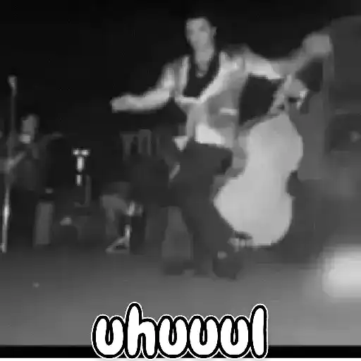 Elvis Presley Reações 15