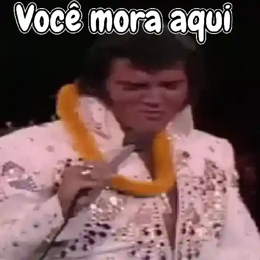 Elvis Presley Reações 22