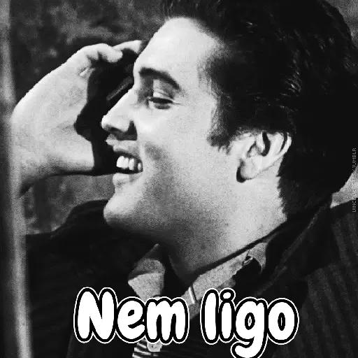 Elvis Presley Reações 24