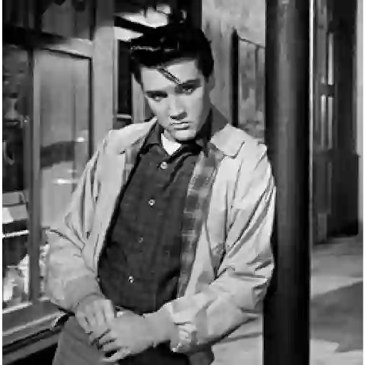 Elvis Presley Reações 13
