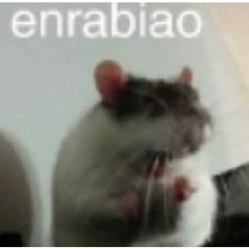 Chipos 5 4