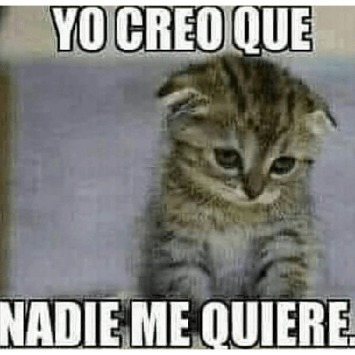 Chipos 5 8
