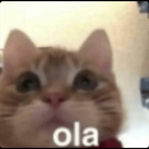 Chipos 5 18