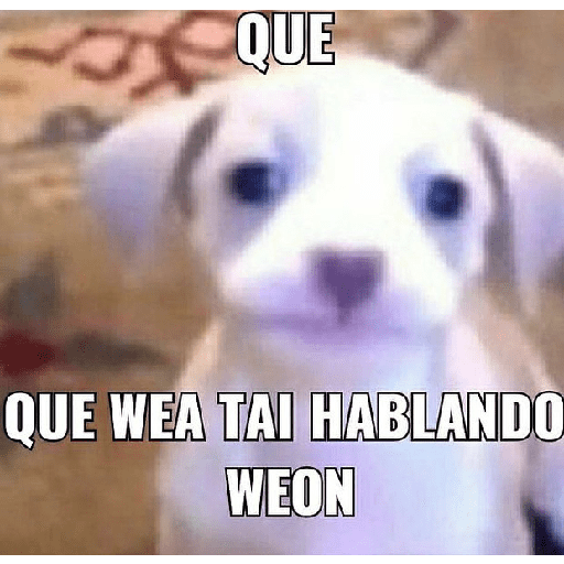 Chipos 5 3