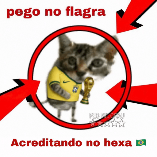 Minhas figurinhas 15