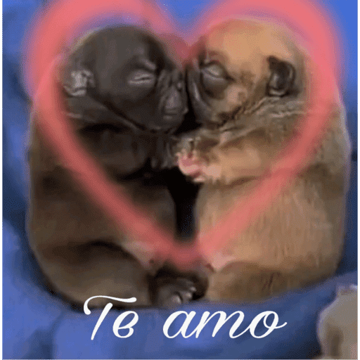 Love 17