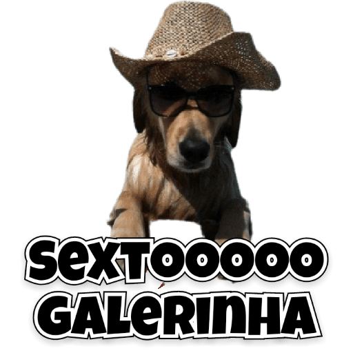 Lindas 12