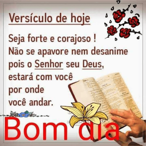 Plakinhas4 11