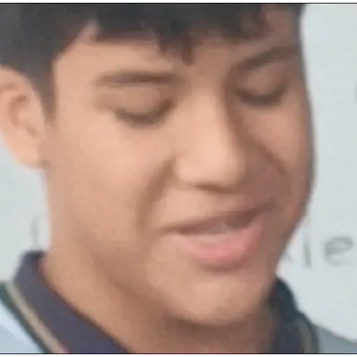 Cree sus stickers hp 3