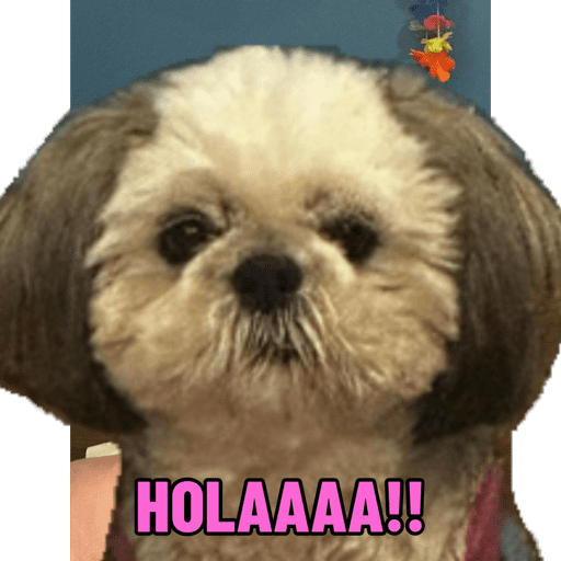 Sticker Image