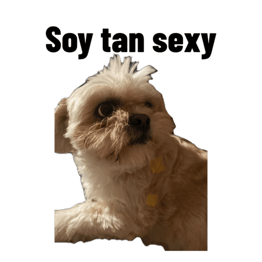 Sticker Image