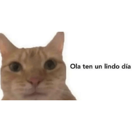 Con mucho amor 9
