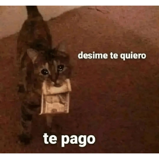 Con mucho amor 8