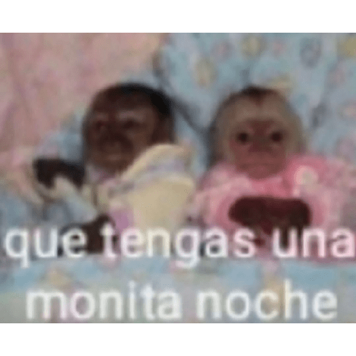Con mucho amor 16