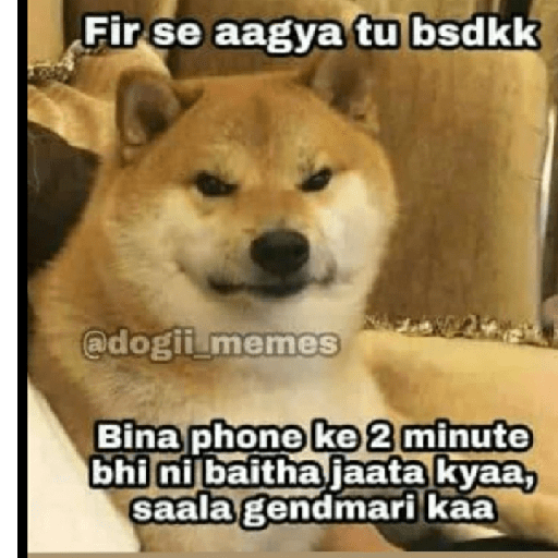 Aman 6
