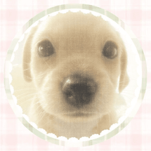  Stickers rosas۶ৎ 24