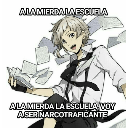 Perros callejeros insanos  8