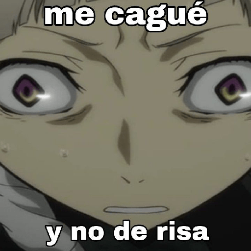 Perros callejeros insanos  17
