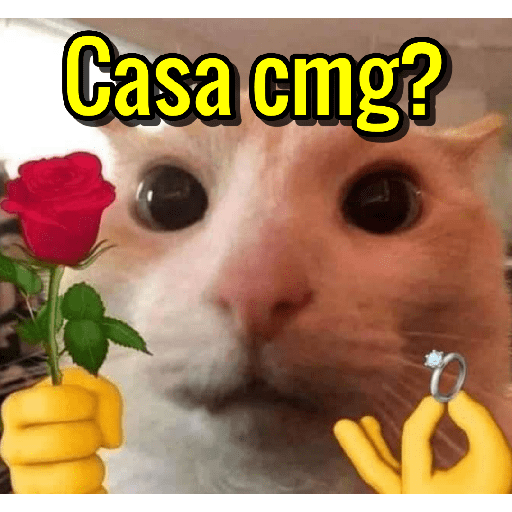 Reações e deboche 😎:) 1