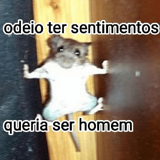 Top 1 em memes🔥
