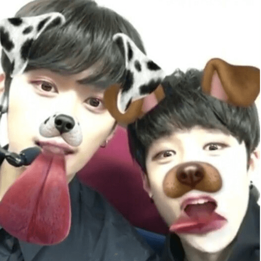 Stray Kids 8