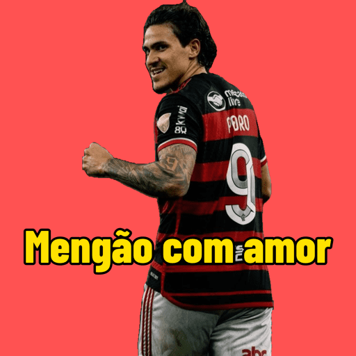 Pedro guilherme / Flamengo  4
