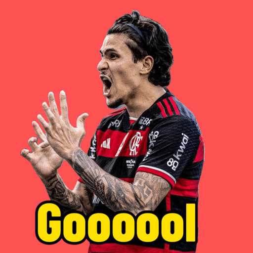 Pedro guilherme / Flamengo  5