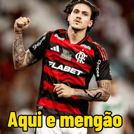 Pedro guilherme / Flamengo  2