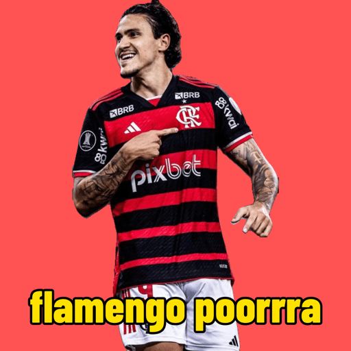 Pedro guilherme / Flamengo  3
