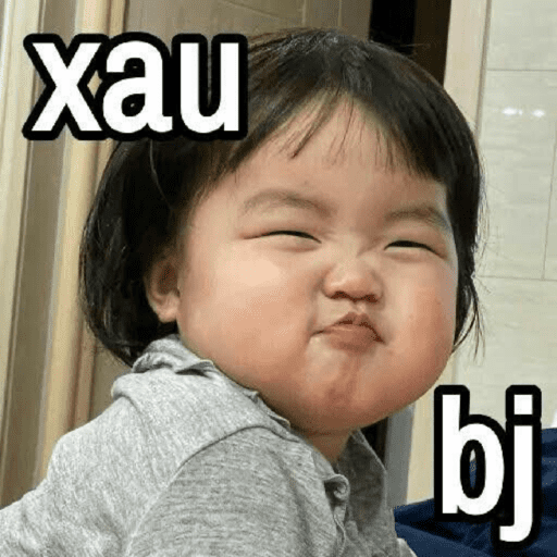 Melhores Memes  12
